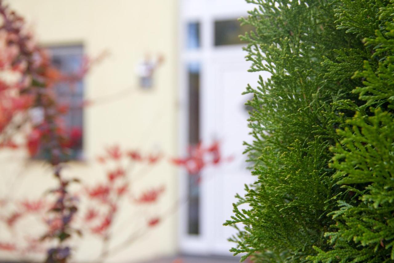 Ferienhaus Bogsi Müllrose Exterior foto